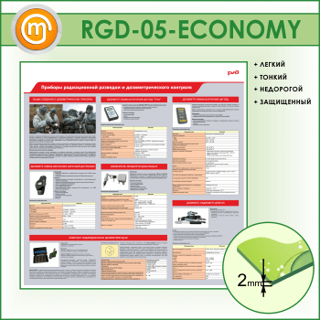        (RGD-05-ECONOMY)